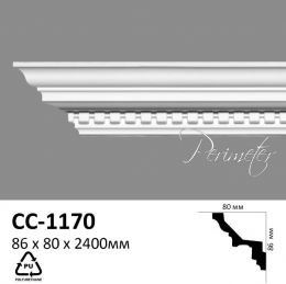    Perimeter C-1170